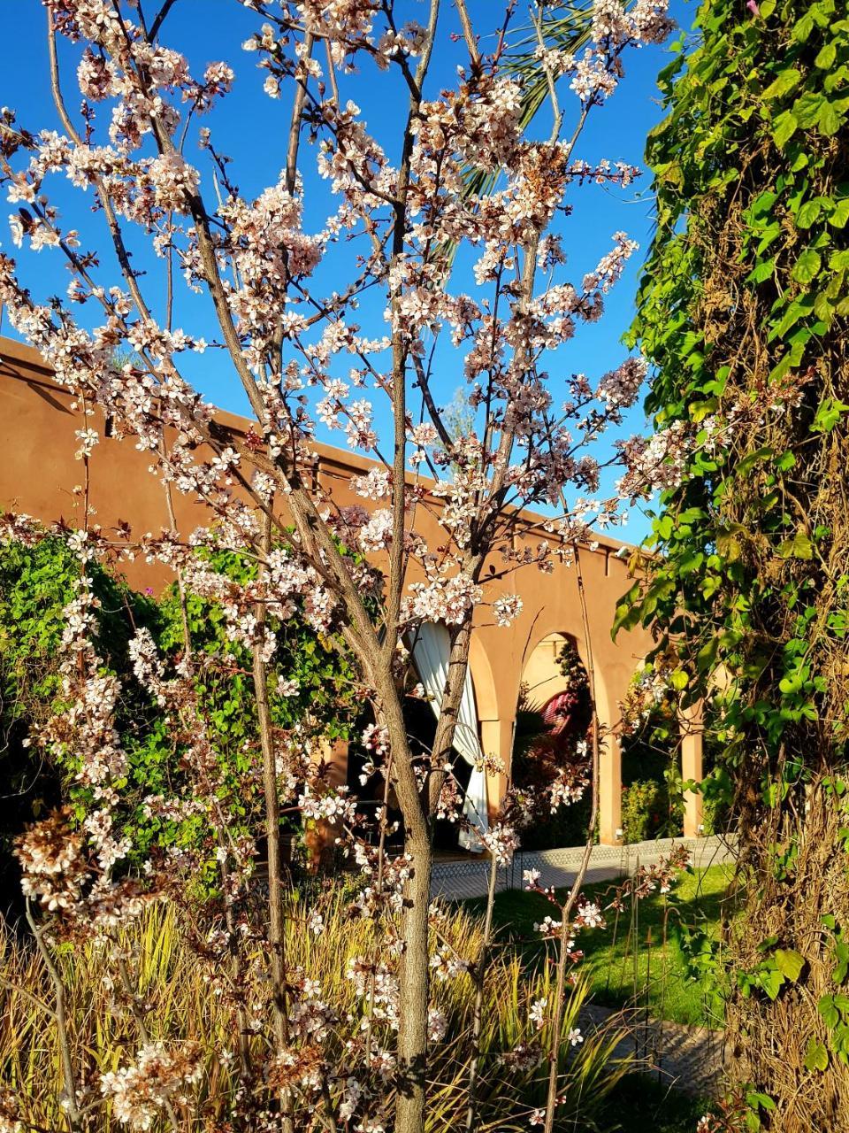 Ksar Salha Hotel Douar Draa Exterior foto