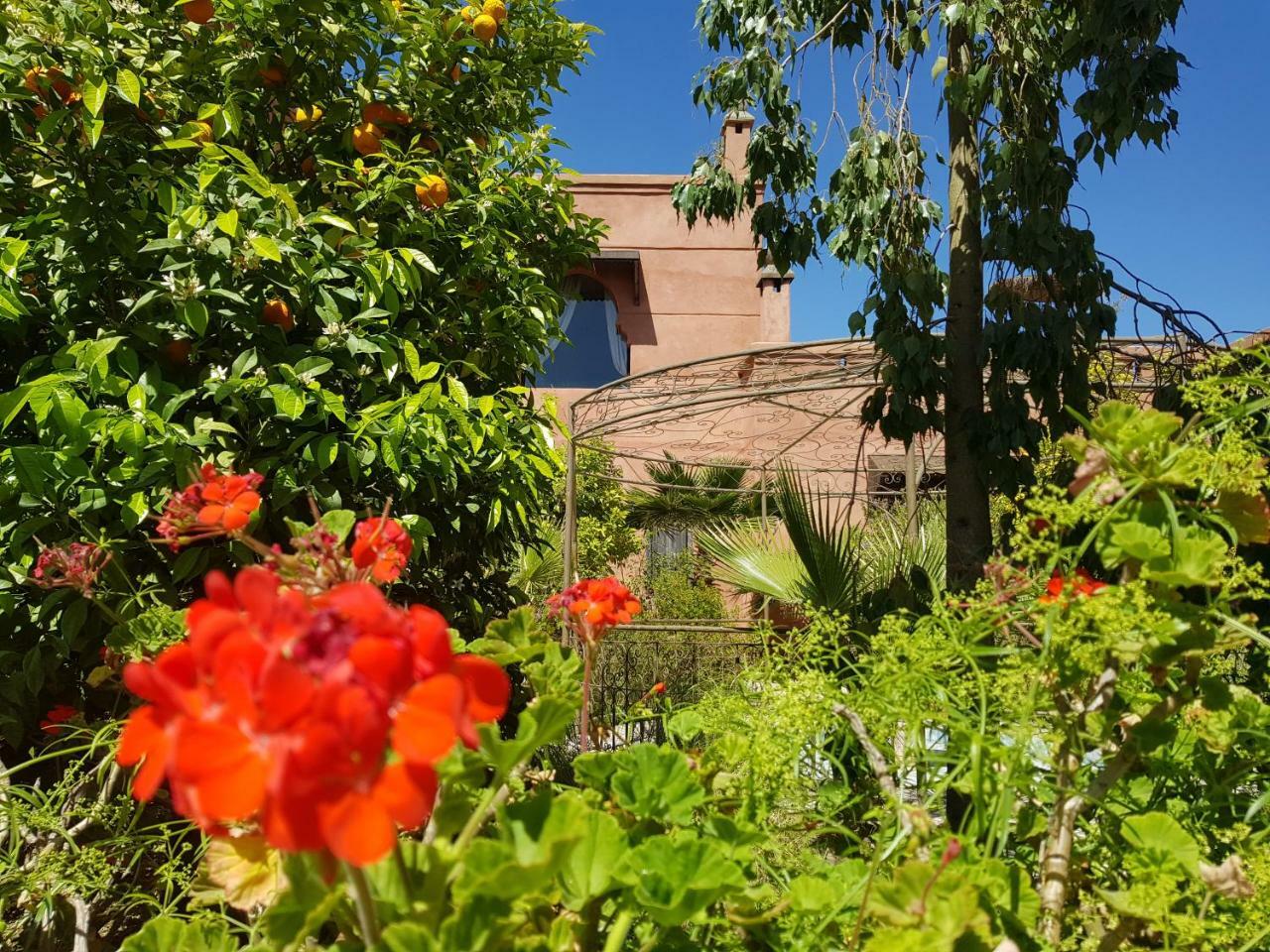 Ksar Salha Hotel Douar Draa Exterior foto